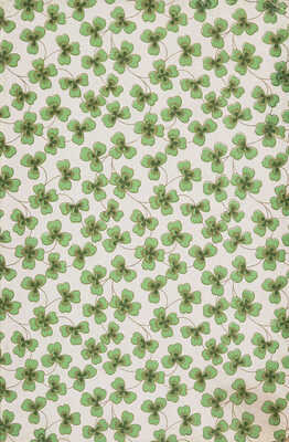 [Собрание В.Г. Лидина] Розенгейм М.П. Стихотворения. В 2 ч. Ч. 1-2. СПб., 1896.